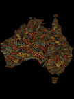 English words coming from Australian Aboriginal languages