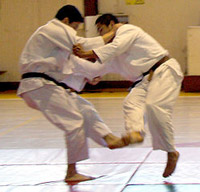 Judo, © Shawnc [CC BY-SA 2.0], via Wikimedia Commons